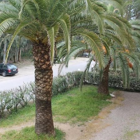 T2 Calvi Entierement Equipe A 150M De La Plage. ภายนอก รูปภาพ